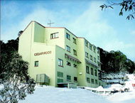 Cedarwood Apartments - Accommodation Asia 0