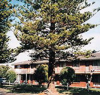 Eastern Beach Holiday Units - Accommodation Guide