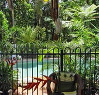 Daintree Rainforest Retreat Motel - Accommodation Asia