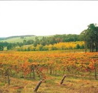 Byramgou Park - Accommodation Guide