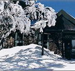Arlberg Hotel Mt Buller - Accommodation Guide
