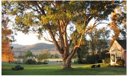 Belltrees Country House - Accommodation Asia 2