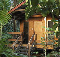 Cape Trib Beach House - Accommodation Asia