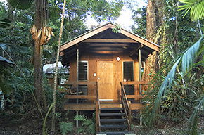 Cape Trib Beach House - Accommodation Guide 3
