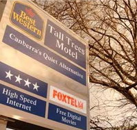Best Western Tall Trees Motel - Accommodation Guide