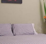 Stingo Hotel - Accommodation Asia
