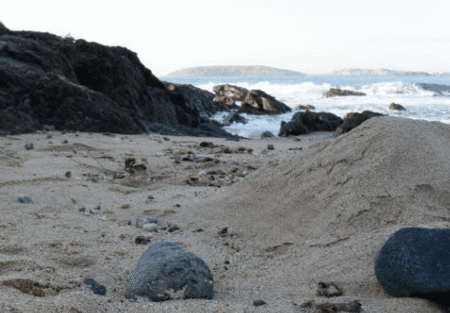 Hawaiian Sands Motor Inn - Accommodation Guide 4