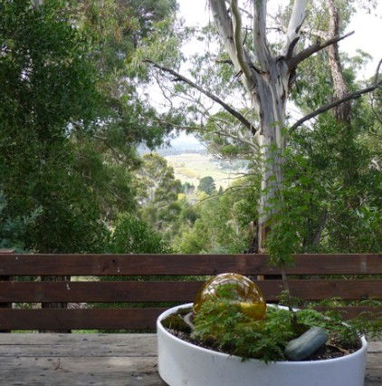 Kalkite NSW Accommodation China