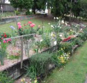 Kintail Homestay - Accommodation Guide