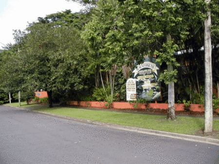 Rainforest Grove Holiday Resort - Accommodation China 2