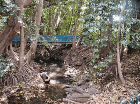 Rainforest Grove Holiday Resort - Accommodation China 3
