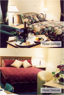 Loxton Community Hotel Motel - Accommodation China 0