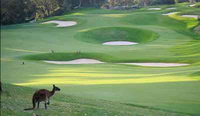 Joondalup Resort - Accommodation Asia 9