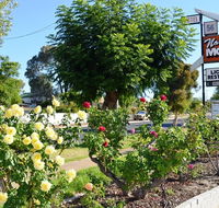 Narrogin Motel - Accommodation China
