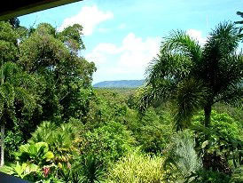 Daintree Manor - Accommodation Guide 3