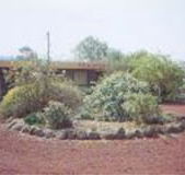 Beaufort Motel - Accommodation Guide