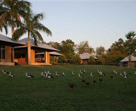 Feathers Sanctuary - Accommodation China 0