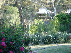Battunga Bed & Breakfast - Accommodation Asia 0