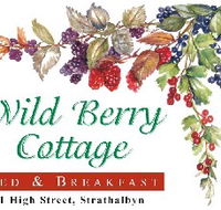 Wild Berry Cottage - Accommodation Guide