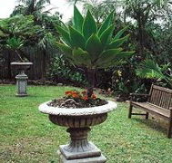 Bangalow Retreat - Accommodation China