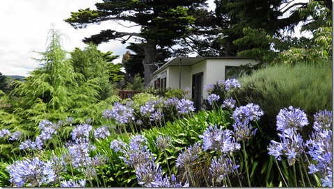 Tamar River Retreat - Accommodation Guide 5