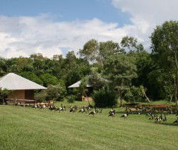 Feathers Sanctuary - Accommodation China 3
