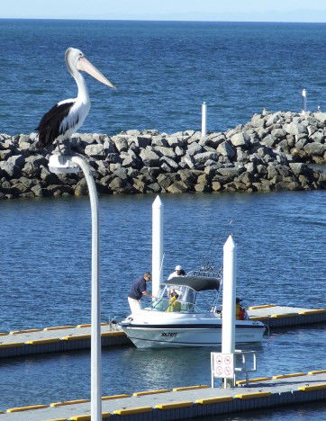 Edithburgh Caravan Park - Accommodation Guide 6