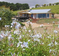 The Blue Grape Vineyard Accommodation - Accommodation Asia