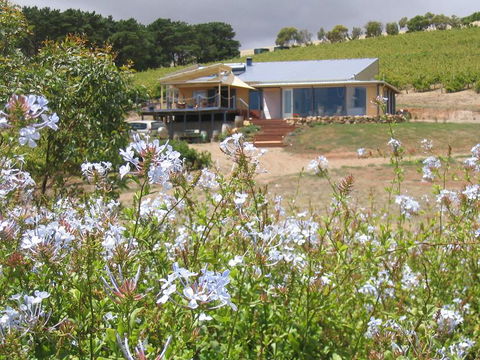 The Blue Grape Vineyard Accommodation - Accommodation Asia 0
