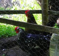 Norma's Place - Accommodation China