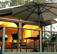 Jabiru Safari Lodge at Mareeba Wetlands - Accommodation Asia
