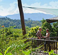 Rose Gums Wilderness Retreat - Accommodation Guide