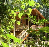 Rivers Edge Rainforest Retreat - Accommodation Guide
