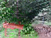 Rivers Edge Rainforest Retreat - Accommodation China 4