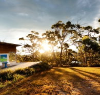 Bruny Island Experience - Accommodation Asia