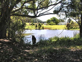 Newry Park Cottage - Accommodation China 0