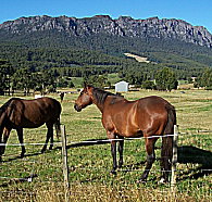 Hurlfield Farm Cottage - Accommodation Guide