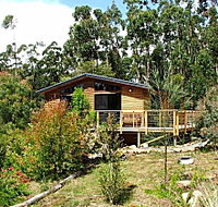 Southern Forest Accommodation - Accommodation Guide