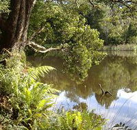 Weldborough Camping Ground - Accommodation Guide