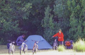 Maria Island Camping Ground - Accommodation Asia 0