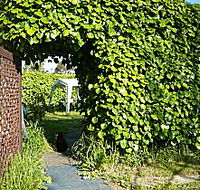 Kirra Guest House - Accommodation Guide