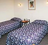 Mt Lyell Motor Inn - Accommodation Guide