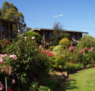 Mole Creek Holiday Village - Accommodation China