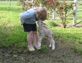 Taras Richmond Farmstay - Accommodation Guide 3