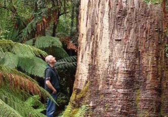 Fingal Hotel - Accommodation Guide 5