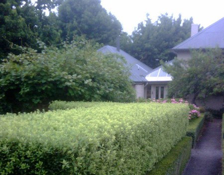 Old Wesleydale Heritage Accommodation - Accommodation Asia 3