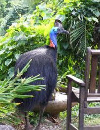 Sanctuary Retreat - Accommodation Guide 2