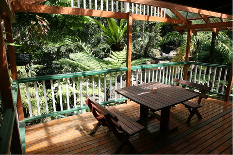 Daintree Secrets (Award Winning Retreat) - Accommodation Asia 3