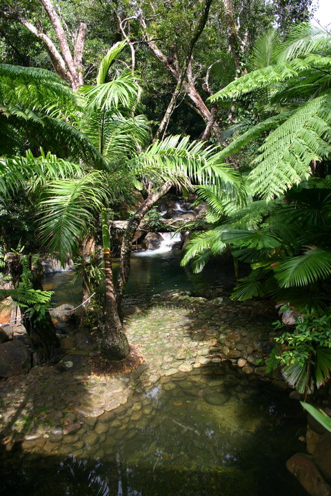 Daintree Secrets (Award Winning Retreat) - Accommodation Asia 4