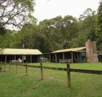 Tree Fern Lodge - Accommodation China